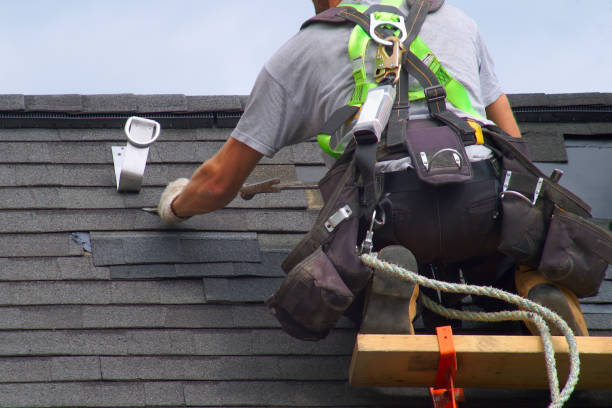 Best Roof Gutter Cleaning  in Roland, AR